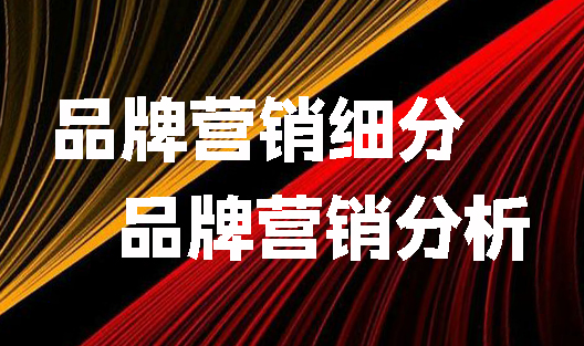 品牌营销细分、品牌营销分析是什么?-楚歌云