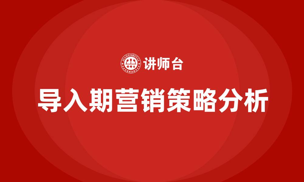 导入期营销策略分析