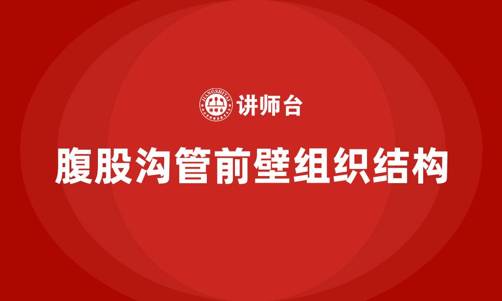 腹股沟管前壁组织结构