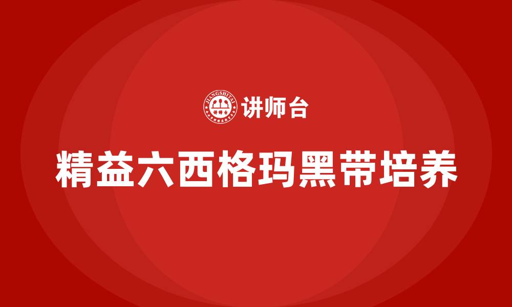 文章精益六西格玛培训黑带的缩略图