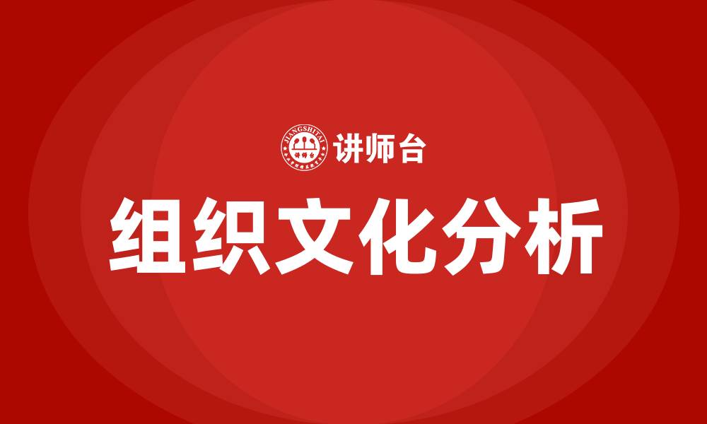 组织文化分析