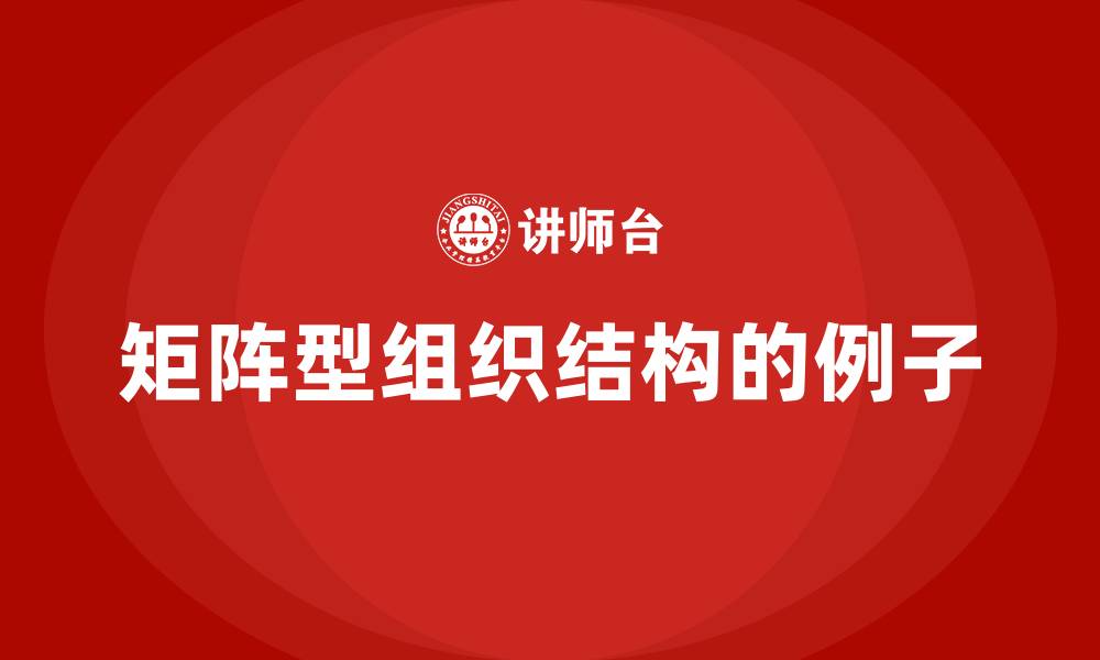 矩阵型组织结构的例子