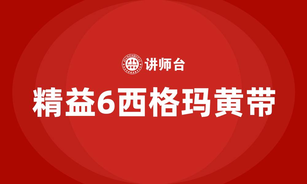 文章精益6西格玛黄带的缩略图