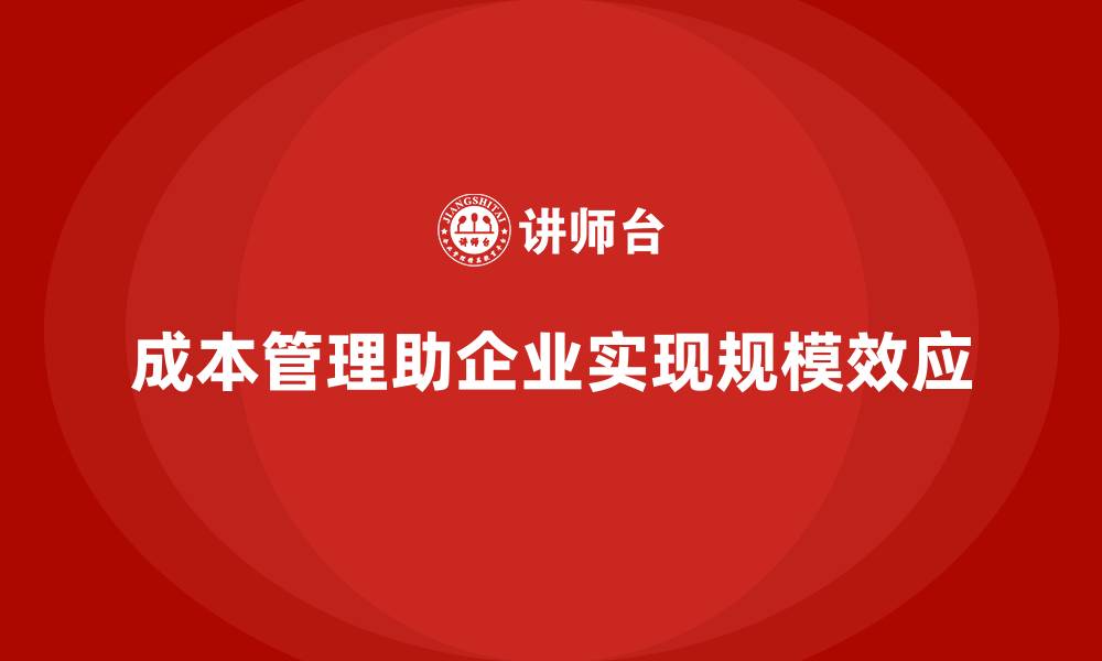 文章如何通过有效成本管理实现企业的规模效应的缩略图