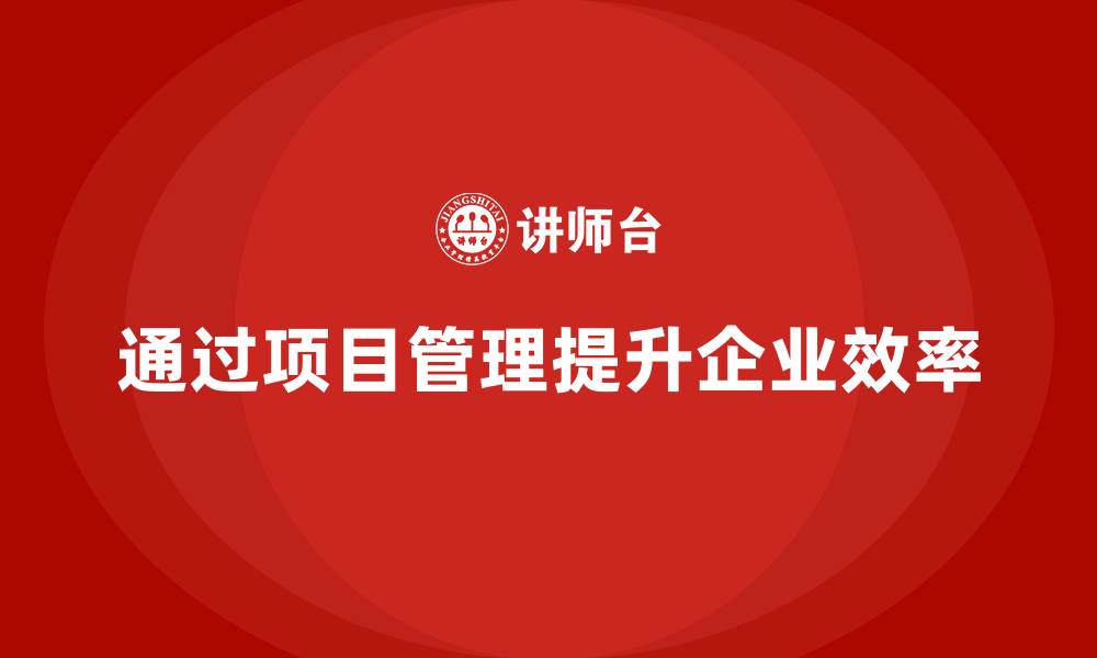 通过项目管理提升企业效率