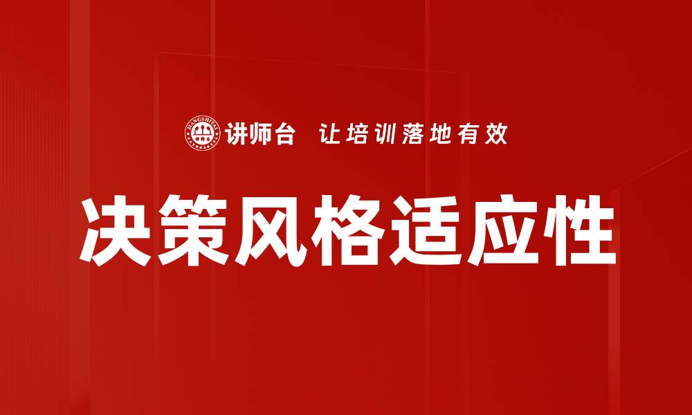 决策风格适应性