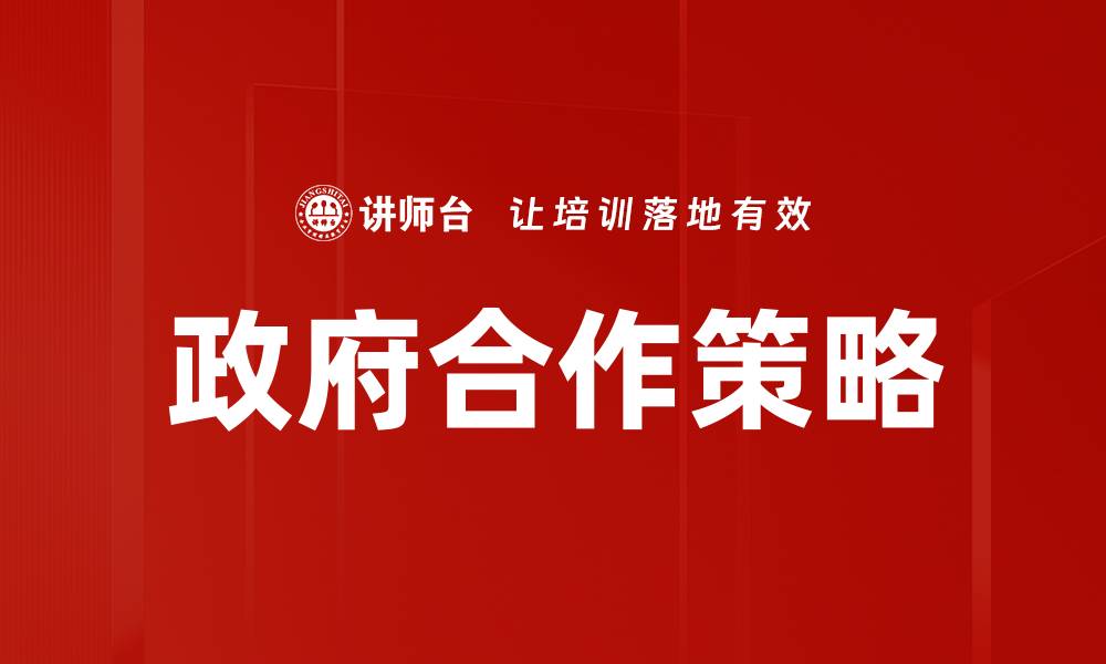 政府合作策略