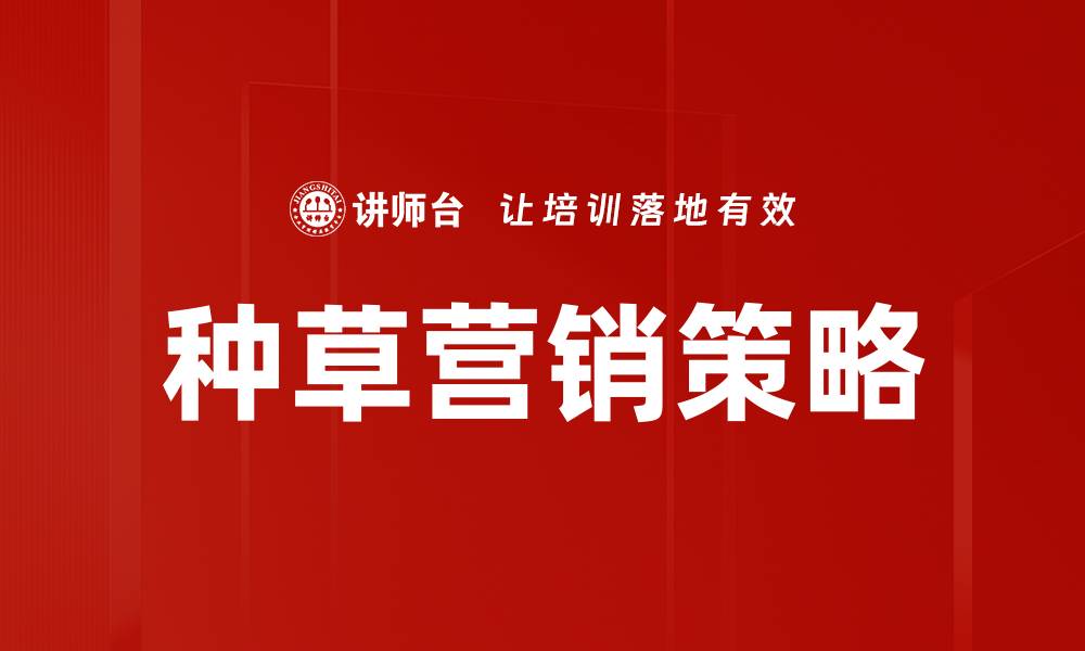 文章种草营销实践：如何有效提升品牌影响力与销售转化的缩略图