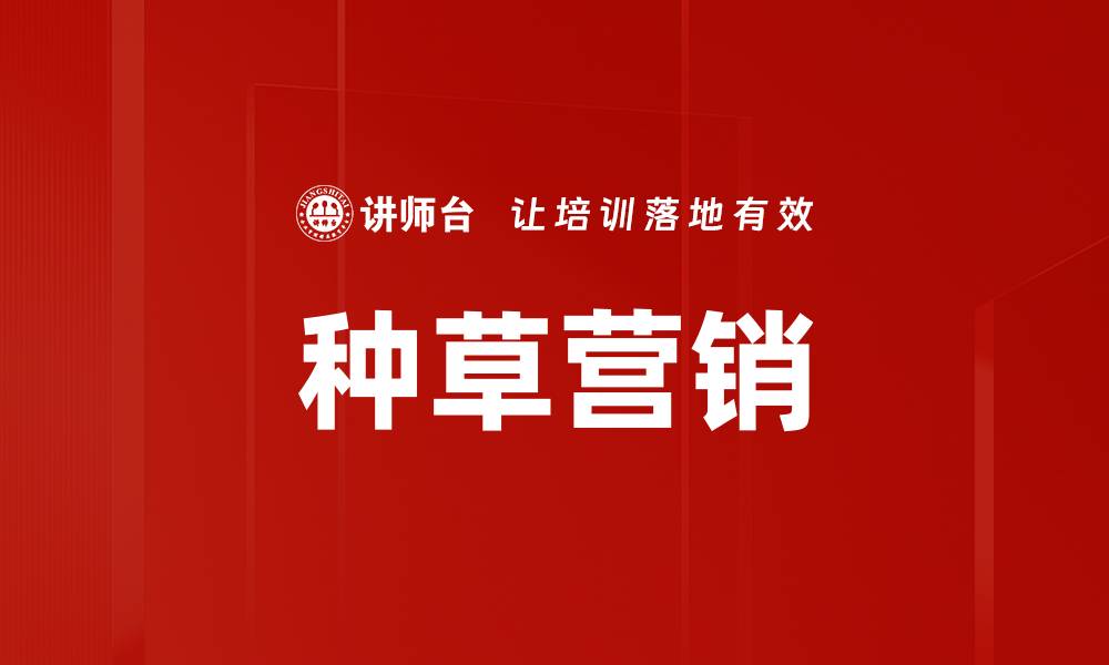 文章种草营销实践：如何有效提升产品曝光度与销量的缩略图