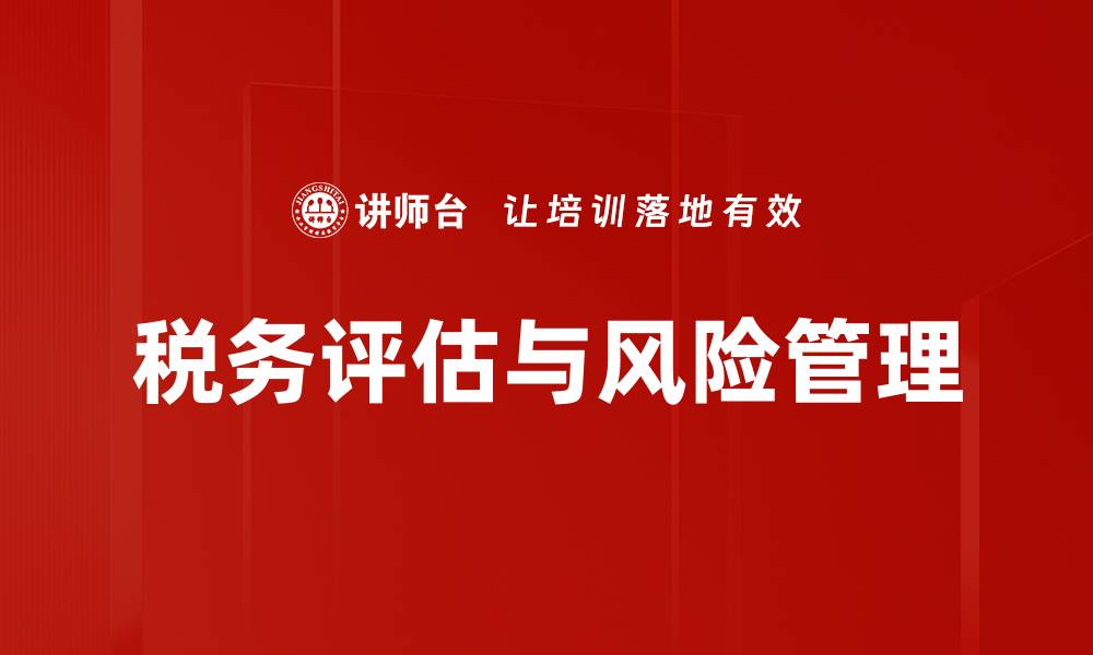 税务评估与风险管理