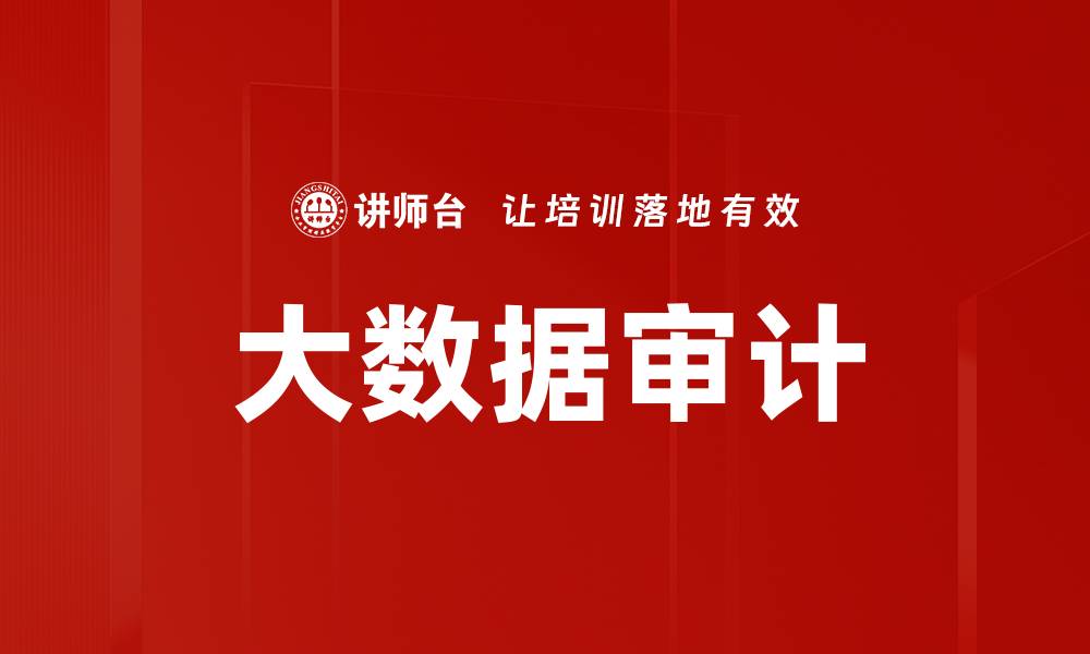 大数据审计