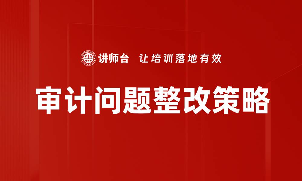 审计问题整改策略