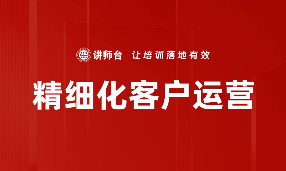 文章精细化打法助力企业实现精准营销与增长的缩略图