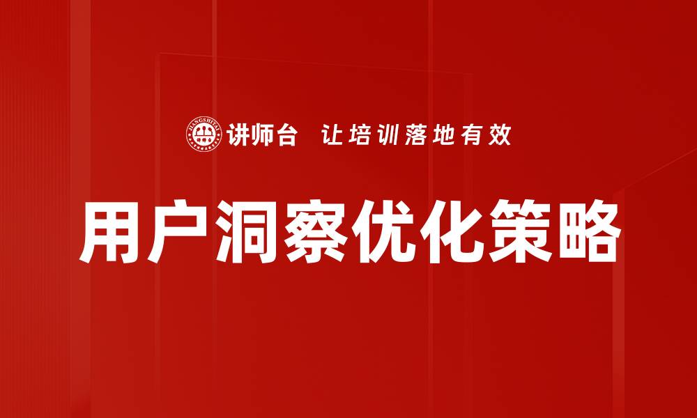 用户洞察优化策略