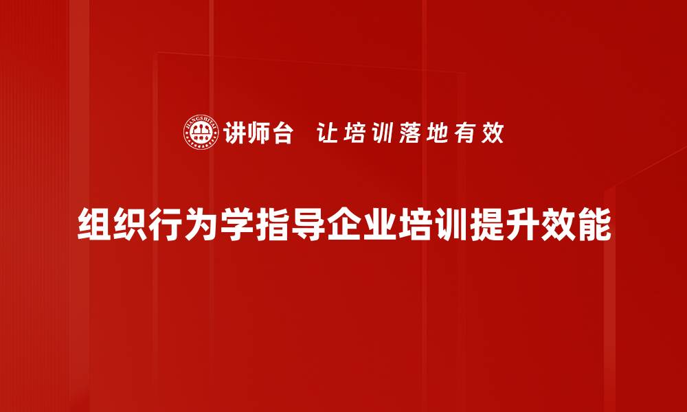 文章揭示组织行为学对团队效率的影响与实践技巧的缩略图
