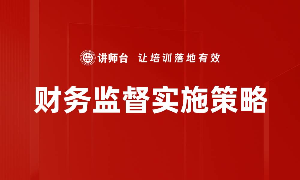 财务监督实施策略