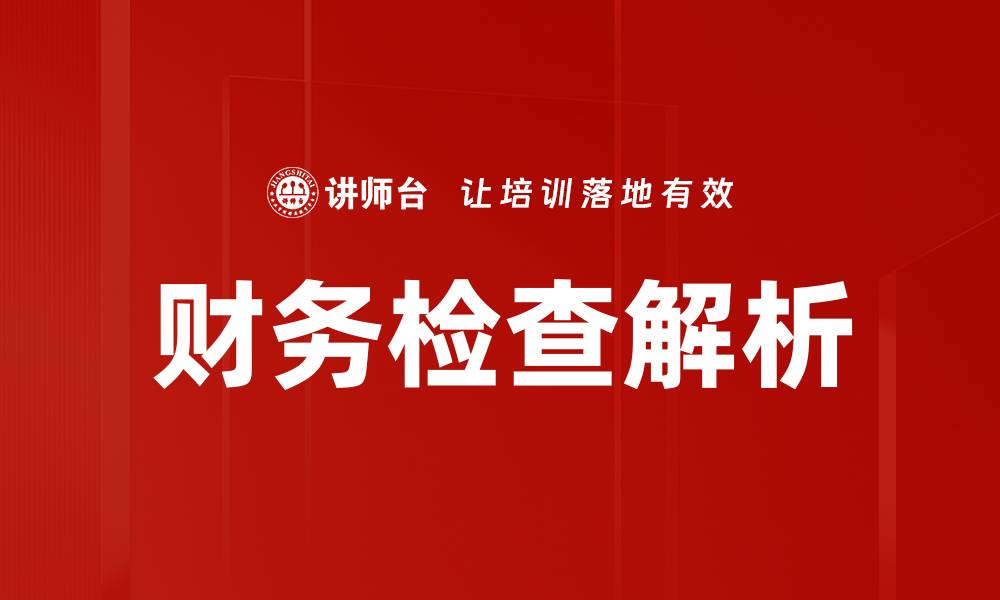 财务检查解析