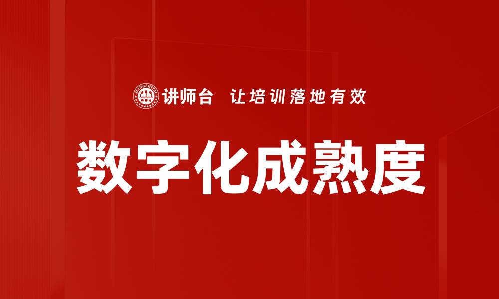 数字化成熟度