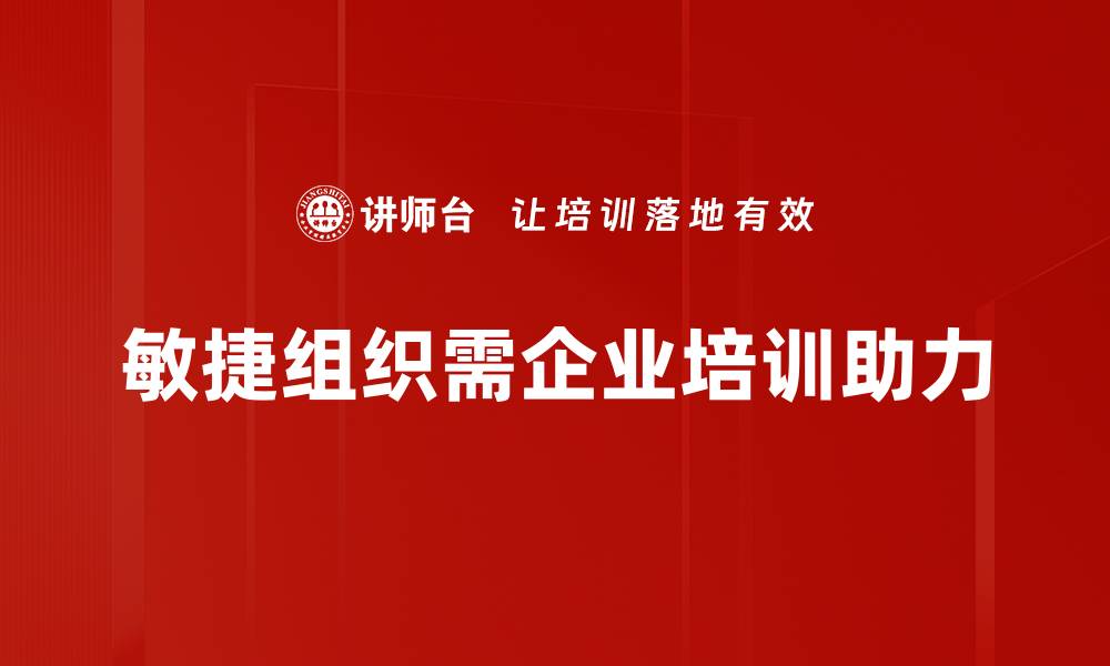 文章如何构建高效敏捷组织提升企业竞争力的缩略图