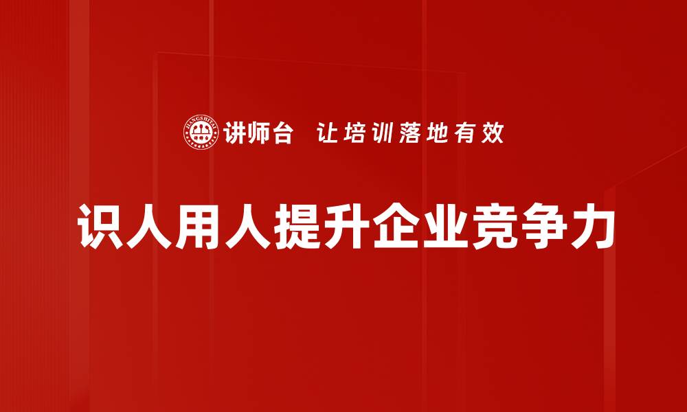 文章识人用人技巧揭秘，提升团队效率的关键所在的缩略图