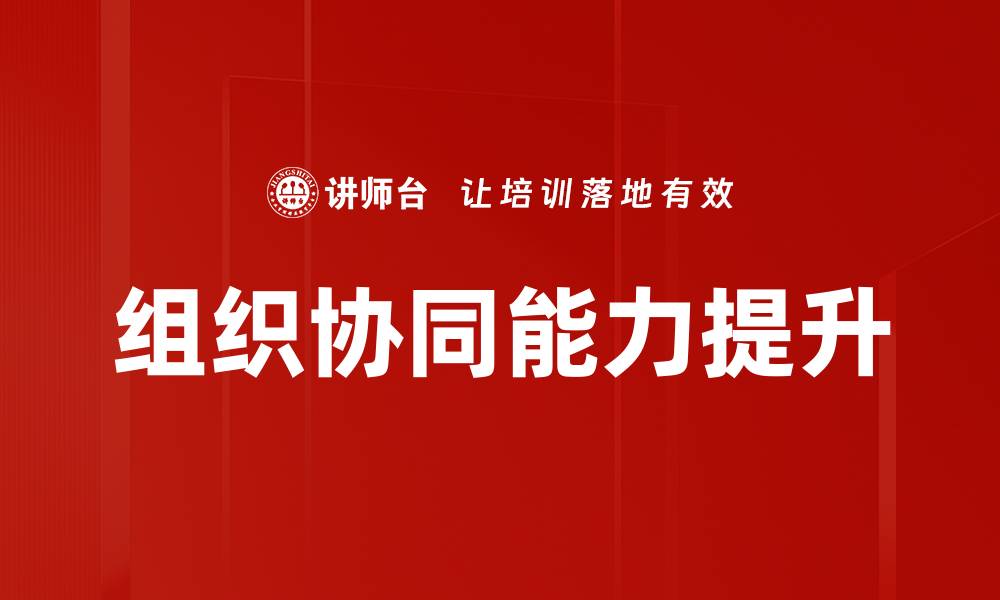 组织协同能力提升