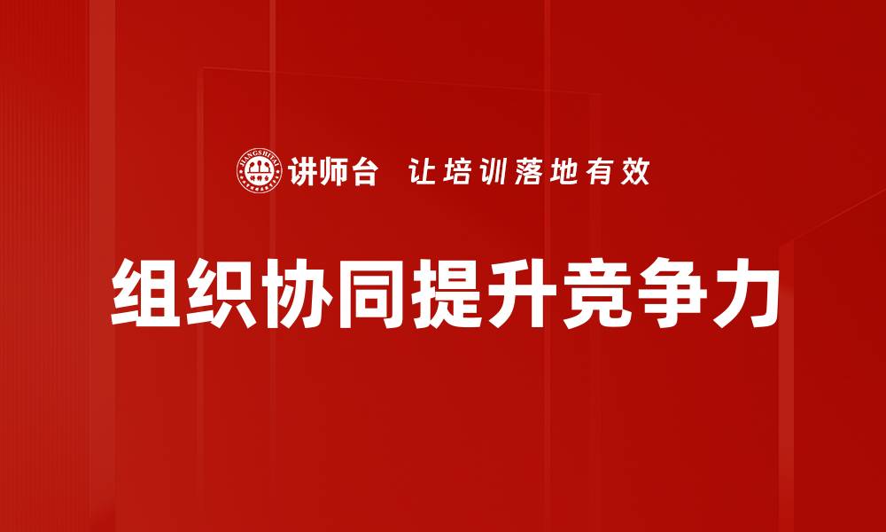 组织协同提升竞争力