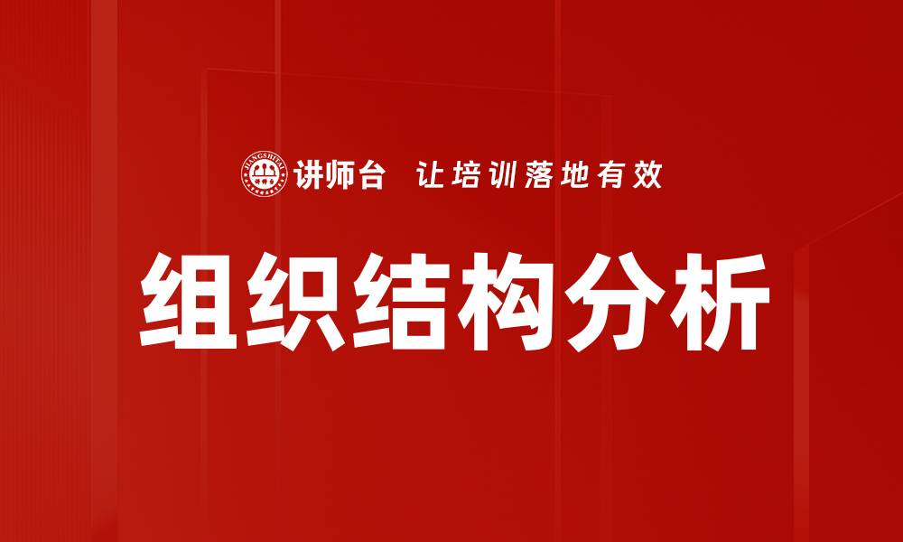 文章深入探讨组织结构分析对企业管理的影响的缩略图