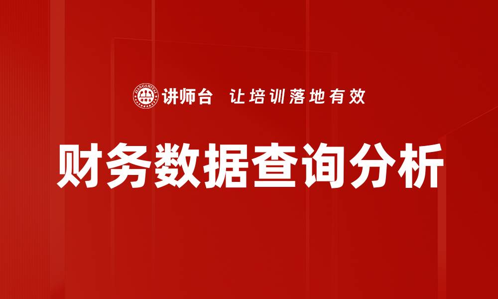 财务数据查询分析