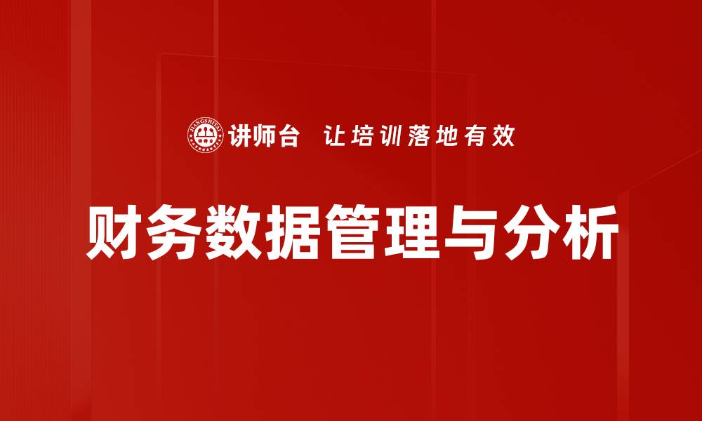 财务数据管理与分析