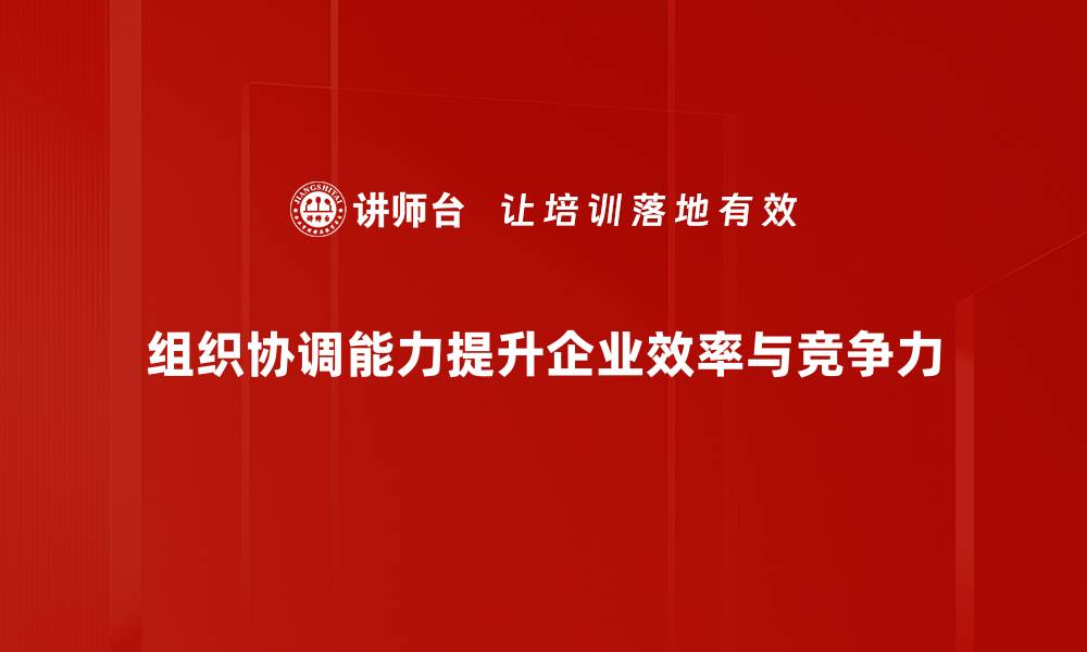 组织协调能力提升企业效率与竞争力