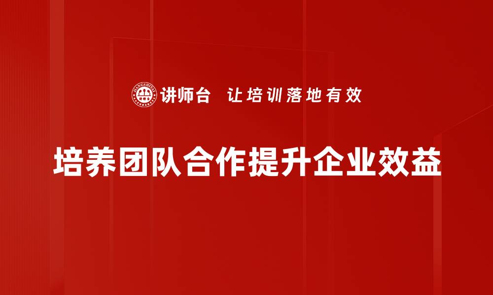 文章提升团队合作精神的五大秘诀，让工作更高效的缩略图