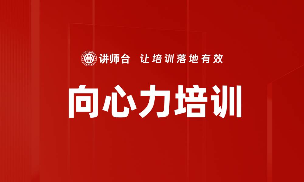 向心力培训
