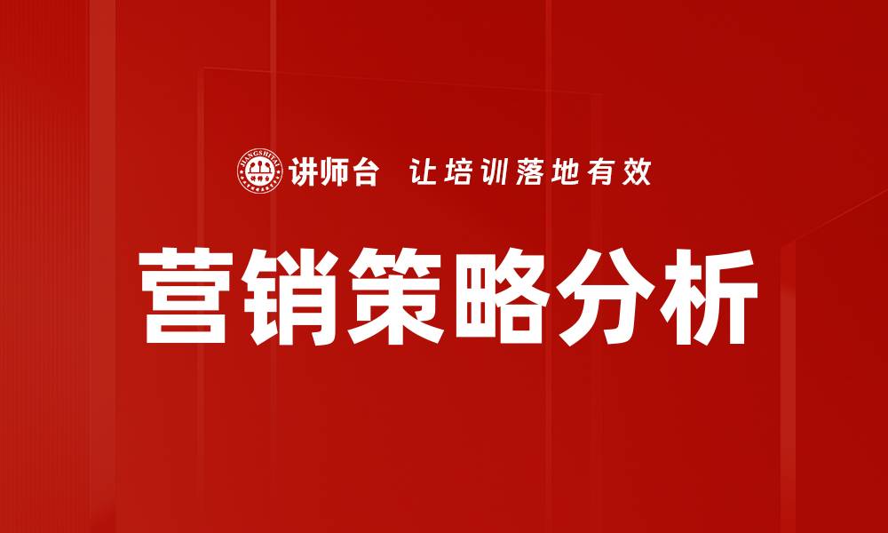 营销策略分析