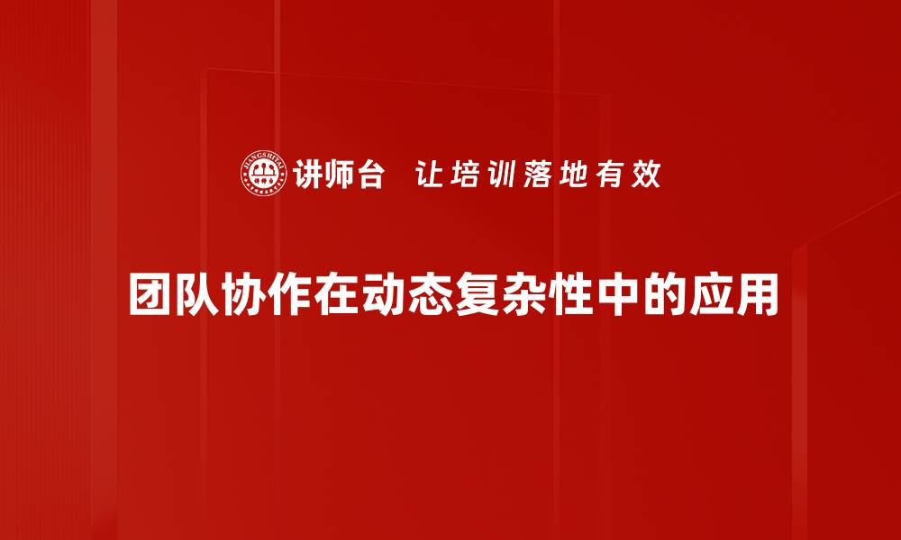 团队协作在动态复杂性中的应用