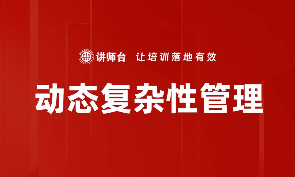 动态复杂性管理