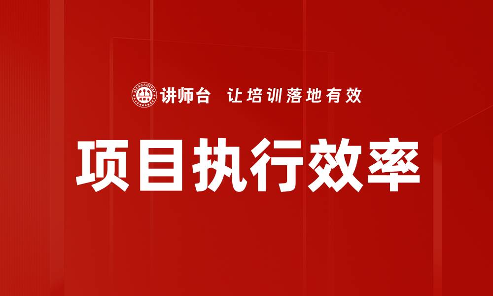 项目执行效率
