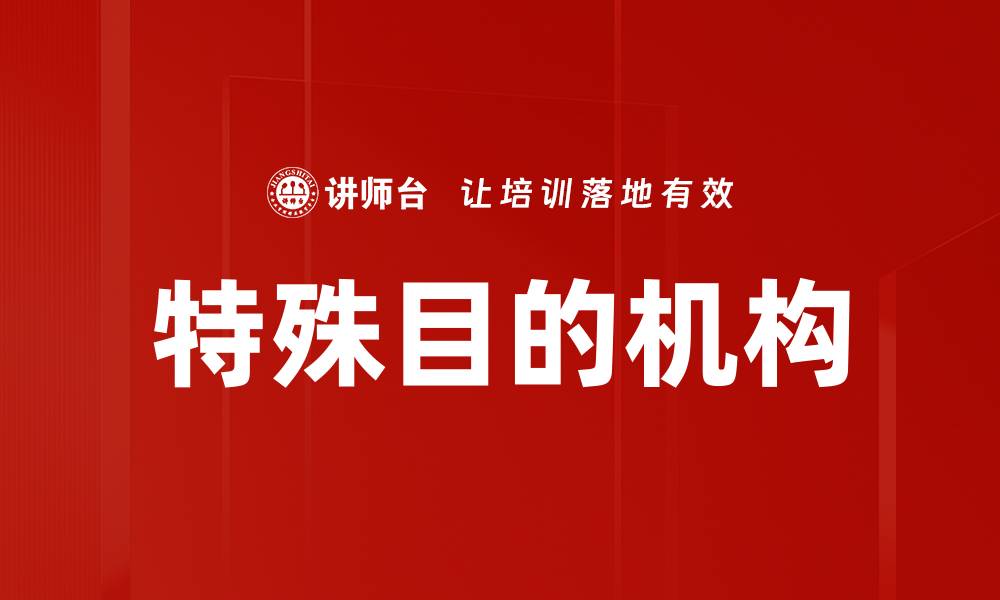 文章深入解析特殊目的机构的作用与影响的缩略图