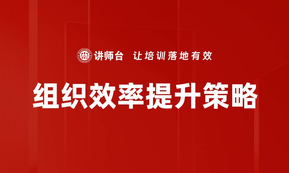 组织效率提升策略