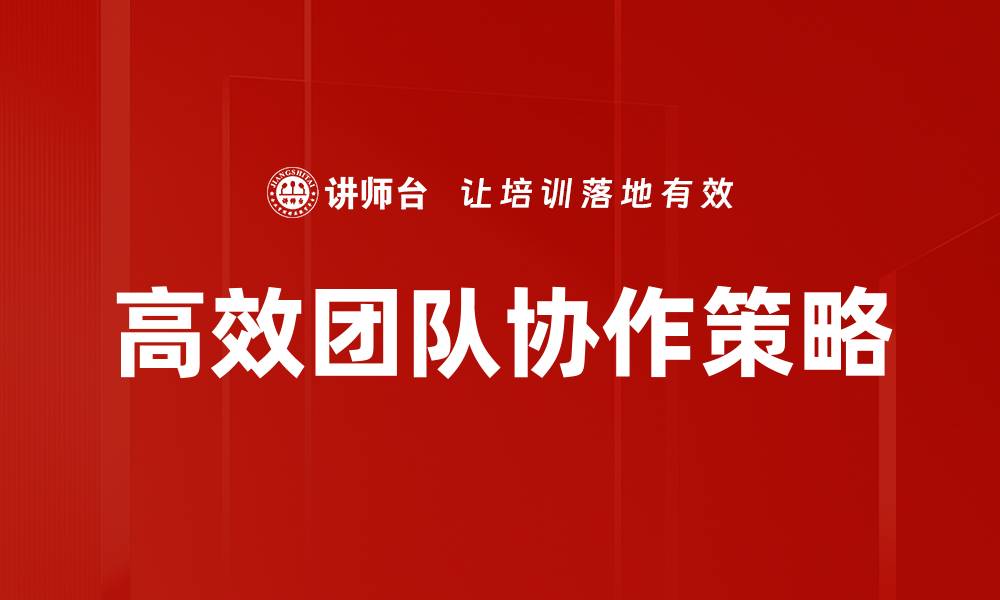 高效团队协作策略
