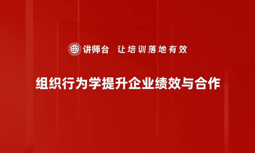 组织行为学提升企业绩效与合作