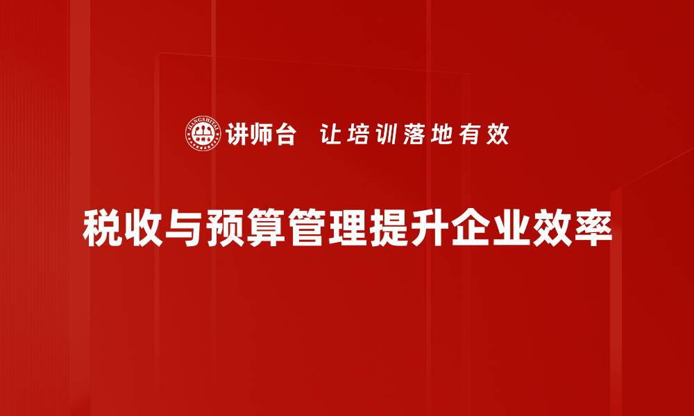 税收与预算管理提升企业效率