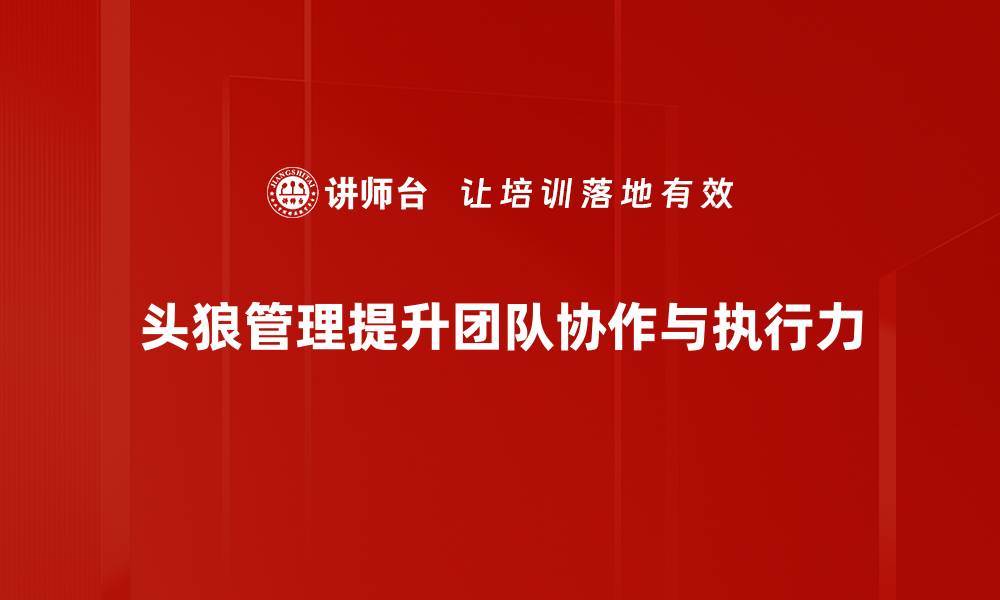 文章头狼管理原则：打造高效团队的秘密武器的缩略图