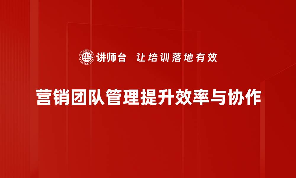 营销团队管理提升效率与协作