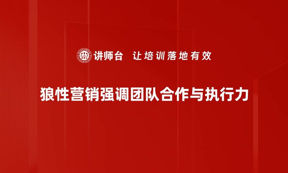 狼性营销强调团队合作与执行力