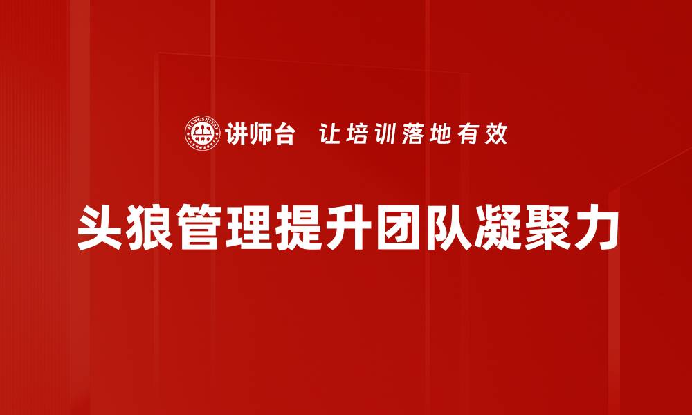 头狼管理提升团队凝聚力