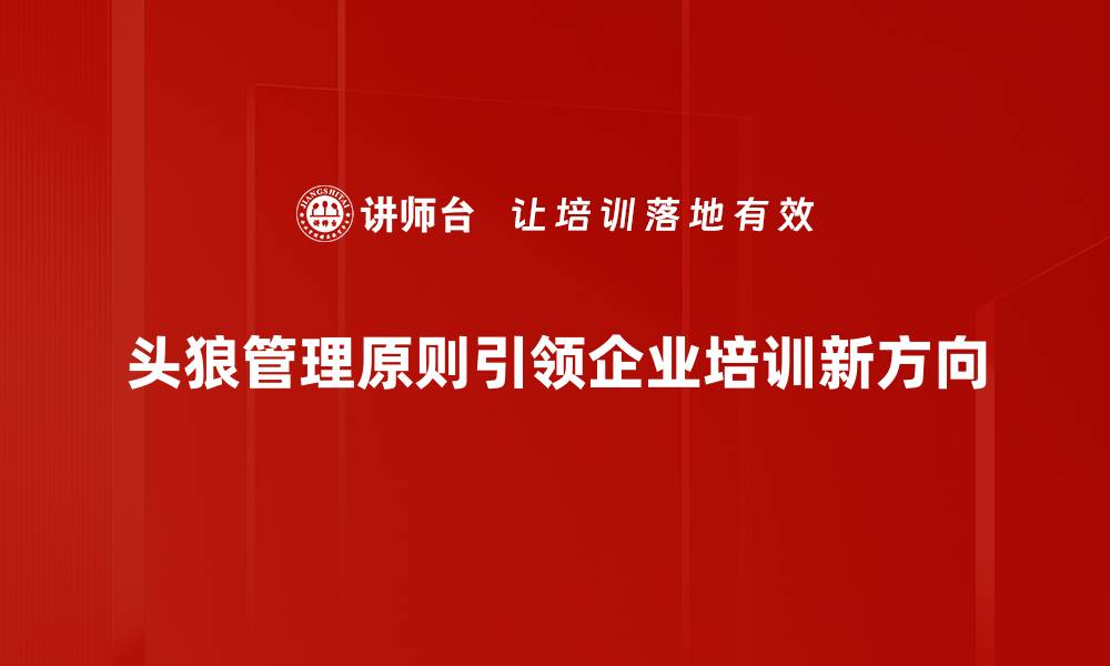 文章头狼管理原则：提升团队效率的秘密武器的缩略图