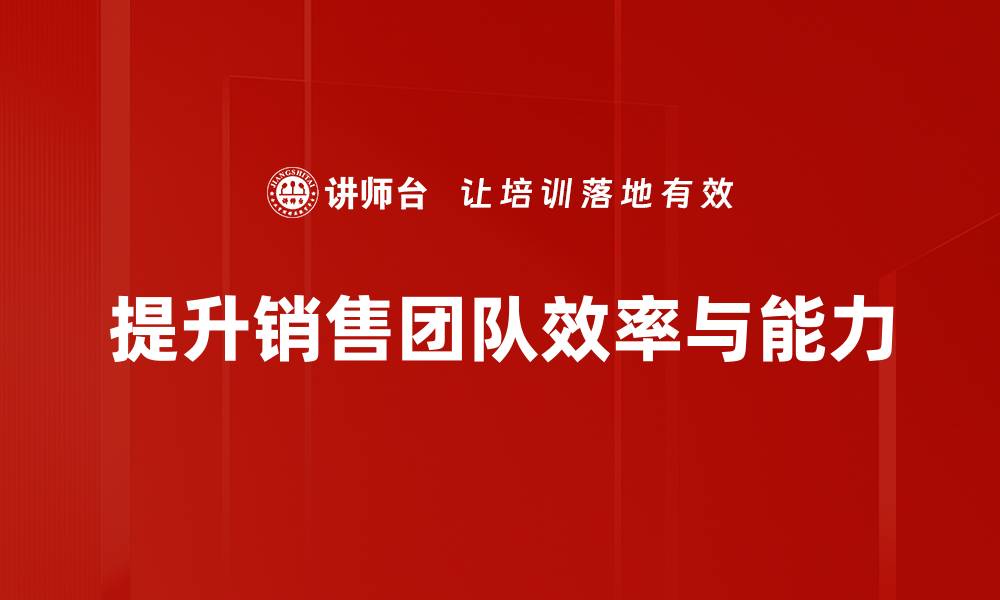 提升销售团队效率与能力