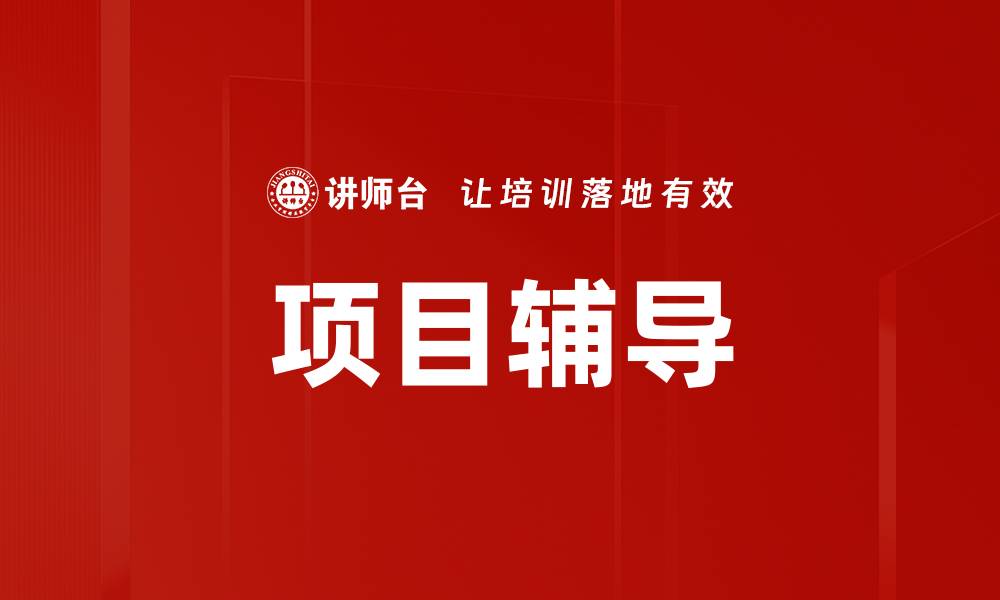 项目辅导