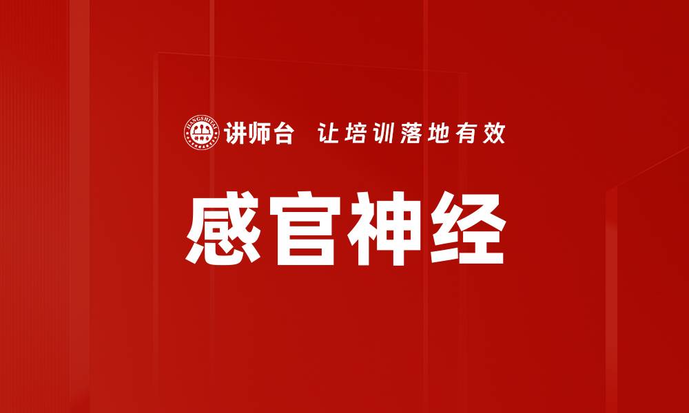 文章感官神经的缩略图