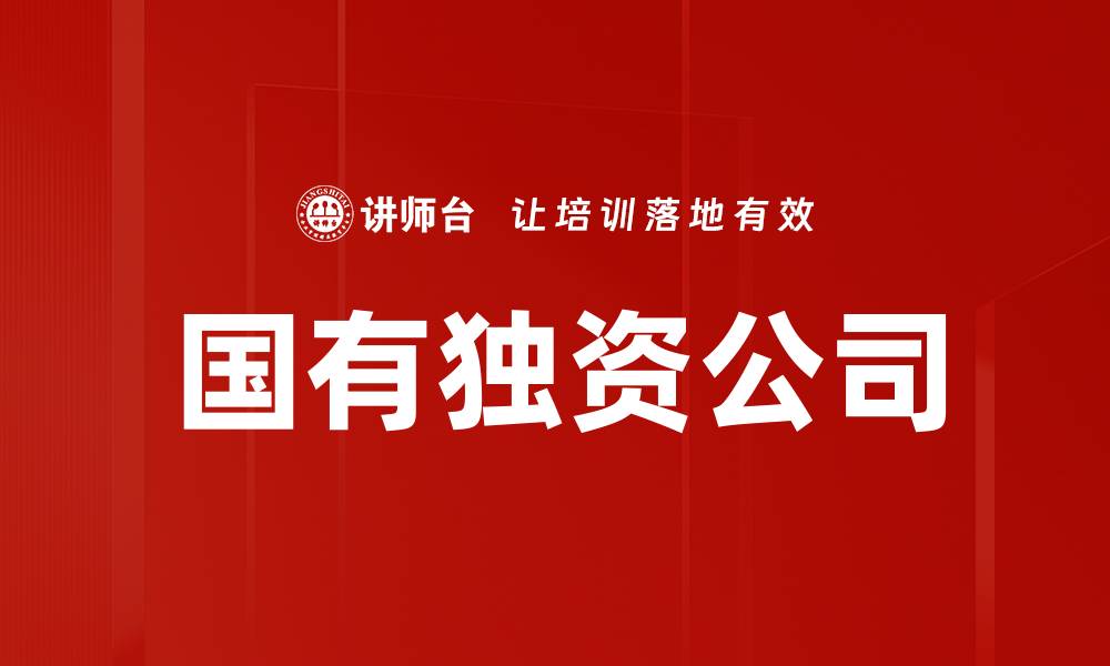 文章国有独资公司的缩略图